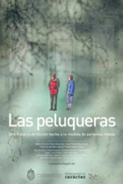 Póster de Las peluqueras