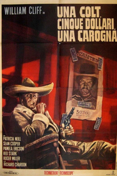 Póster de Las pistolas del odio