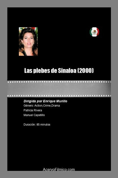 Póster de Las plebes de Sinaloa