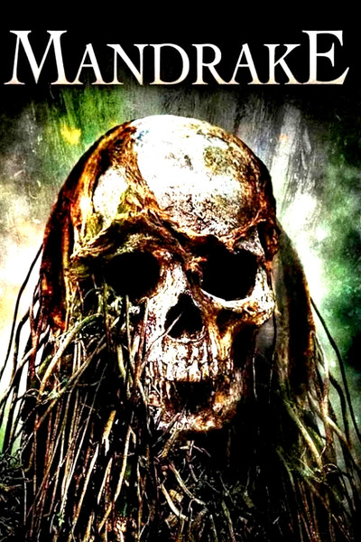 Póster de Las ruinas 2