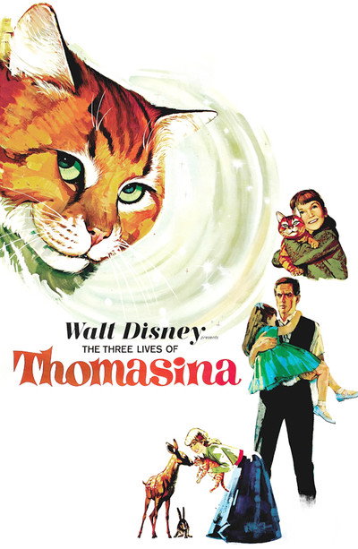 Póster de Las tres vidas de Thomasina