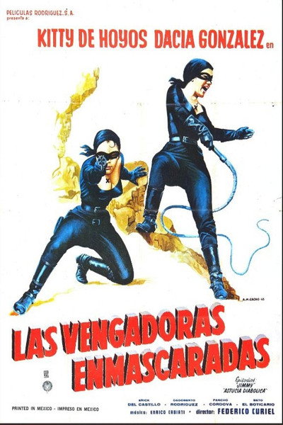 Póster de Las vengadoras enmascaradas
