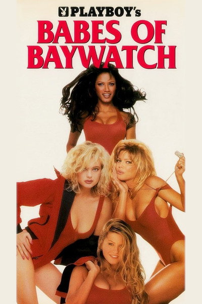 Póster de Las vigilantes de la playa