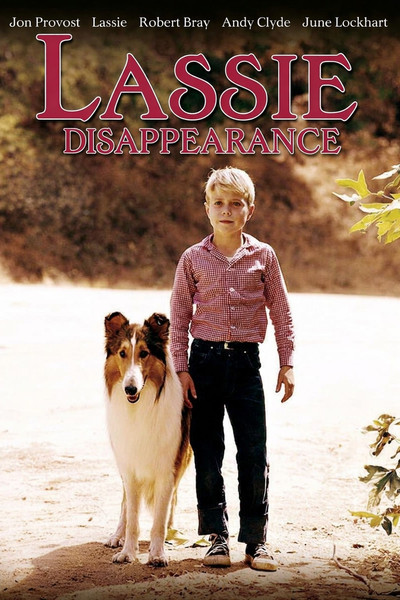 Póster de Lassie: Disappearance