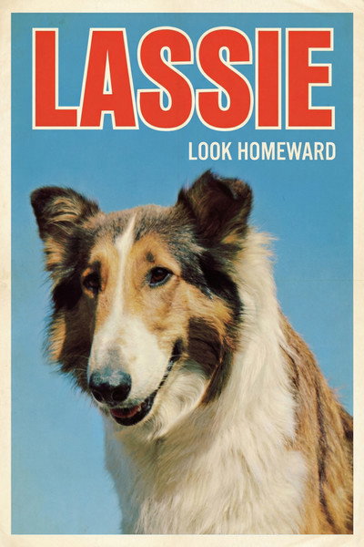 Póster de Lassie: Look Homeward