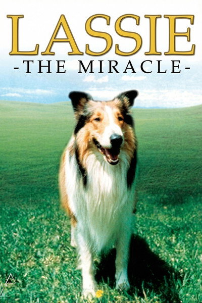 Póster de Lassie: The Miracle