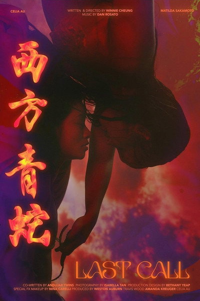 Póster de Last Call