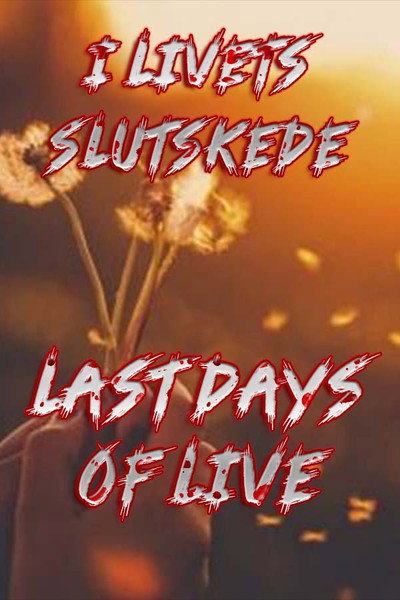 Póster de Last Days of Life