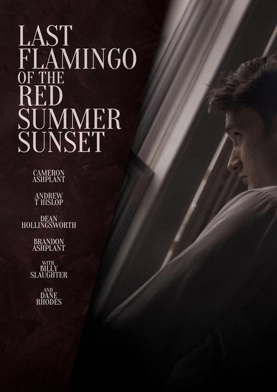 Póster de Last Flamingo of the Red Summer Sunset