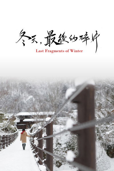 Póster de Last Fragments of Winter