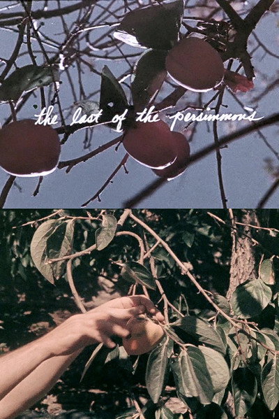 Póster de Last of the Persimmons