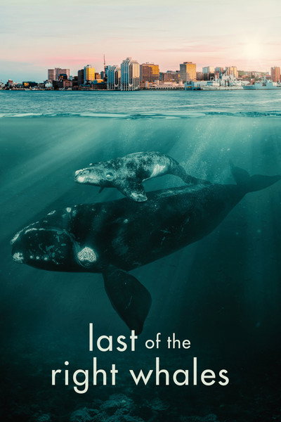 Póster de Last of the Right Whales