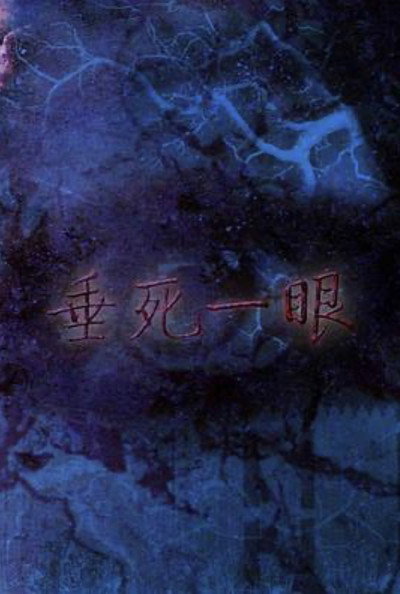 Póster de Last Sight from Death