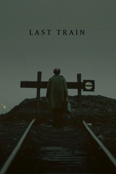 Póster de Last Train