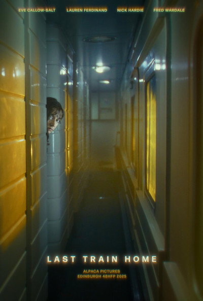 Póster de Last Train Home