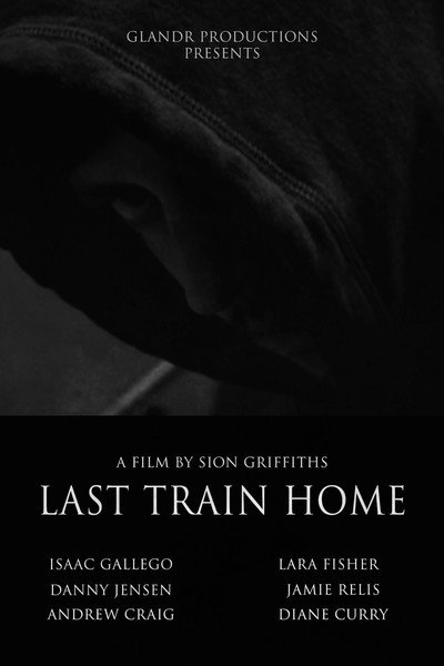 Póster de Last Train Home