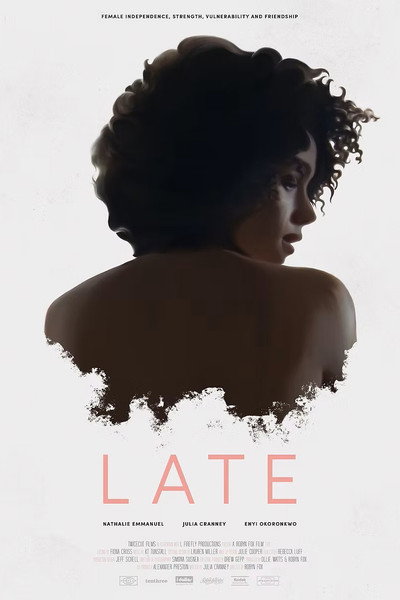 Póster de Late