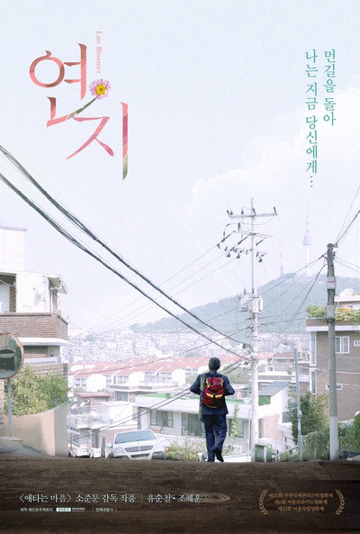 Póster de Late Bloomer