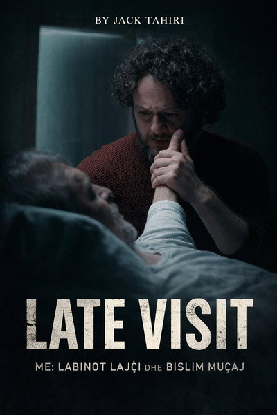 Póster de Late visit