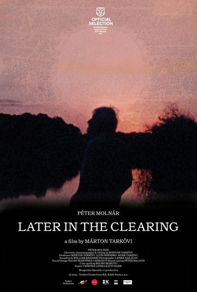 Póster de Later in the Clearing