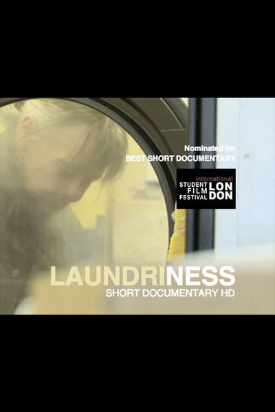 Póster de Laundriness