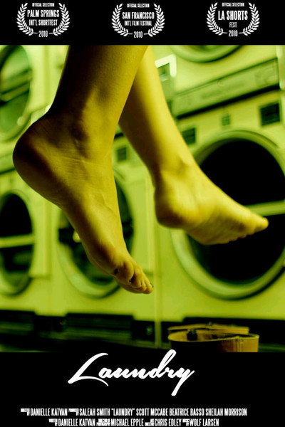 Póster de Laundry