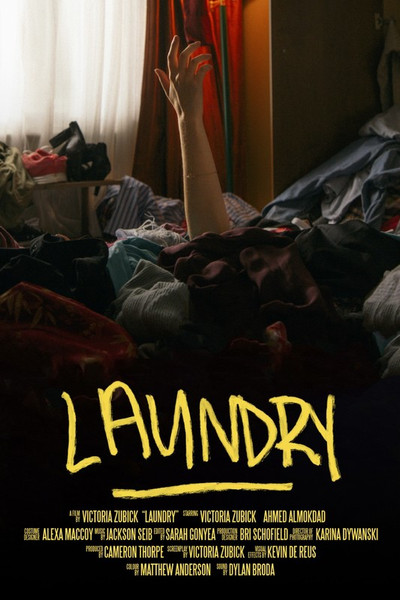 Póster de Laundry