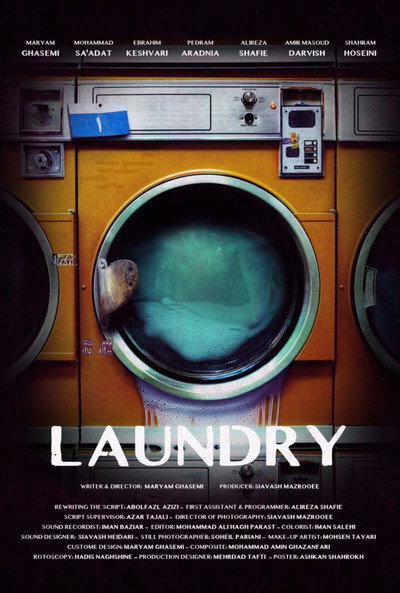 Póster de Laundry