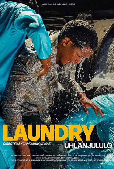 Póster de Laundry