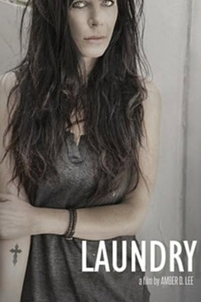 Póster de Laundry