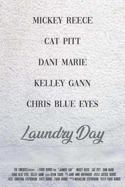 Póster de Laundry Day