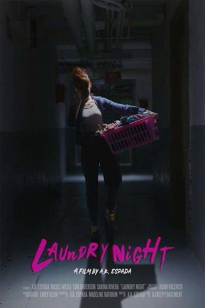 Póster de Laundry Night