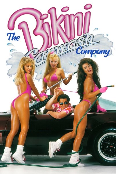 Póster de Lavacoches en bikini