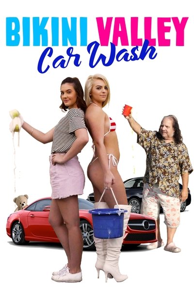 Póster de Lavado de coches de Bikini Valley