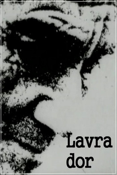 Póster de Lavra Dor