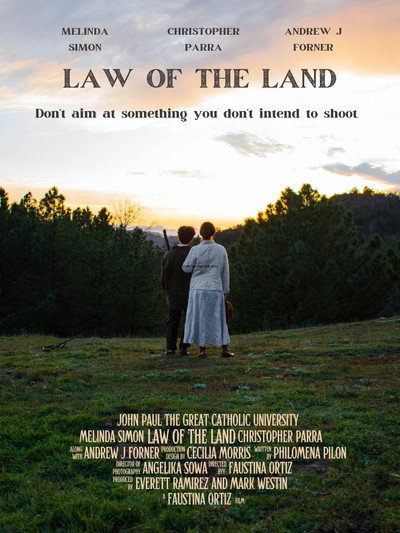 Póster de Law of the Land