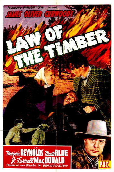 Póster de Law of the Timber