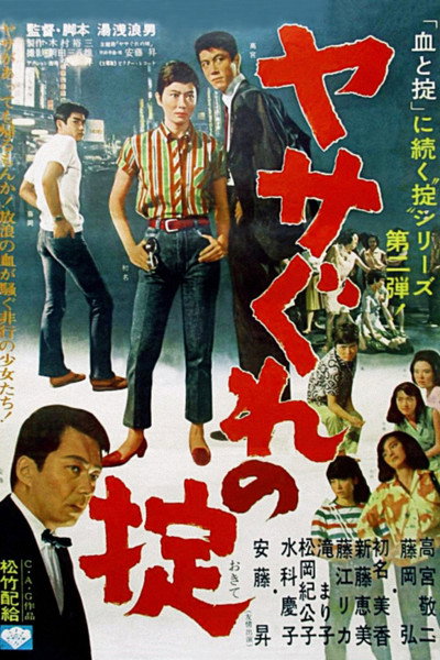 Póster de Law of the Wild