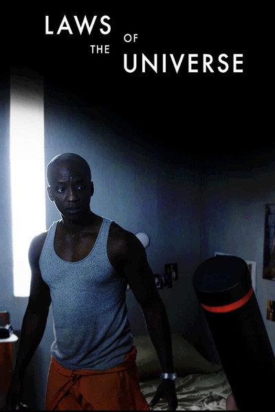 Póster de Laws of the Universe