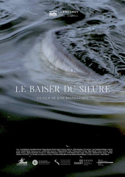 Póster de Le baiser du silure