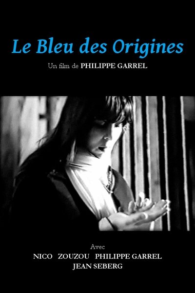 Póster de Le bleu des origines