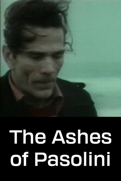 Póster de Le ceneri di Pasolini