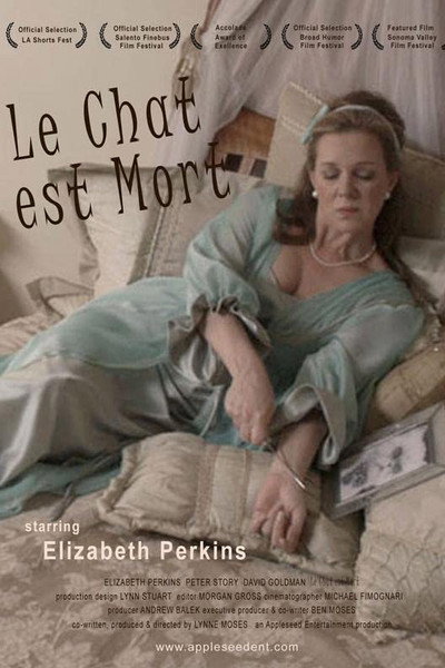 Póster de Le chat est mort