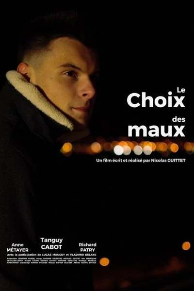 Póster de Le choix des maux