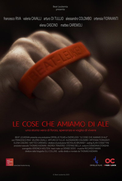 Póster de Le cose che amiamo di Ale