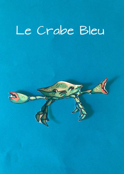 Póster de Le crabe bleu