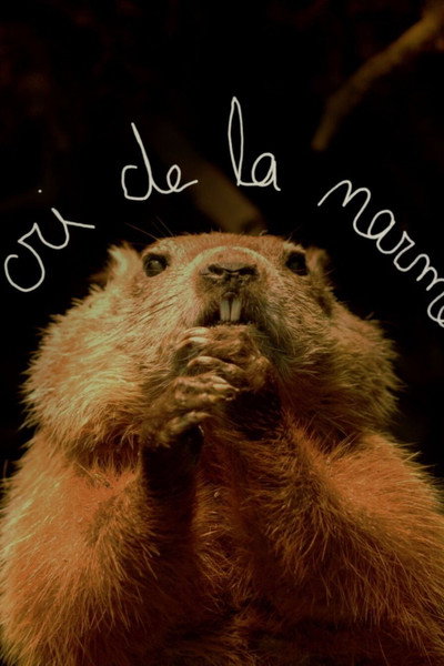 Póster de Le cri de la marmotte
