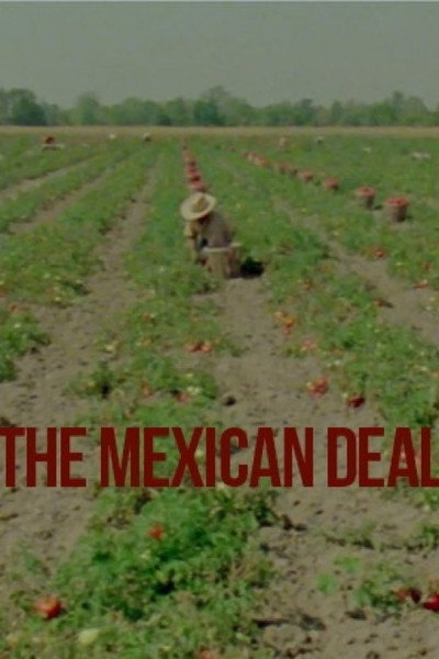 Póster de Le Deal mexicain