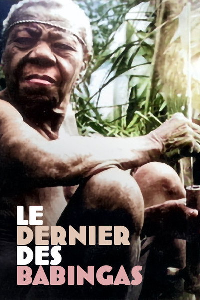 Póster de Le dernier des Babingas