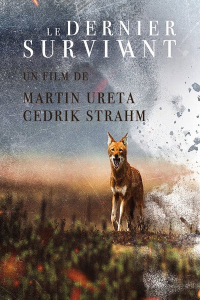 Póster de Le Dernier Survivant